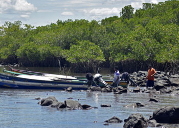 CNR desmiente venta de la isla Perico