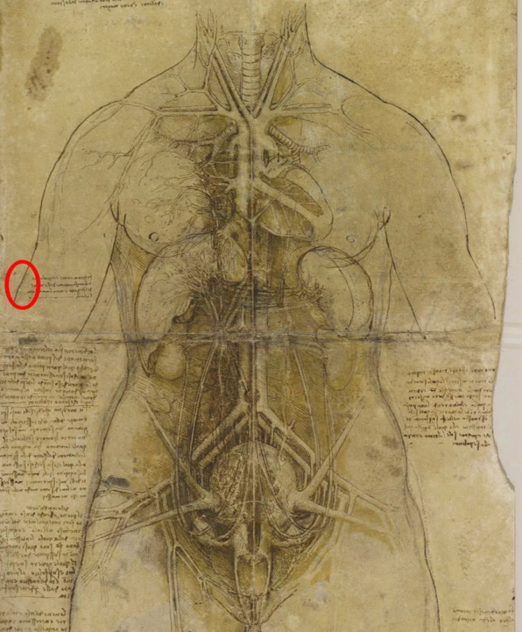Descubren Una Huella Digital De Leonardo Da Vinci En Un Dibujo De 1509 Descubren Una Huella Digital De Leonardo Da Vinci En Un Dibujo De 1509