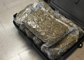 Capturan a mujer que en maleta de viaje llevaba $29 mil en marihuana