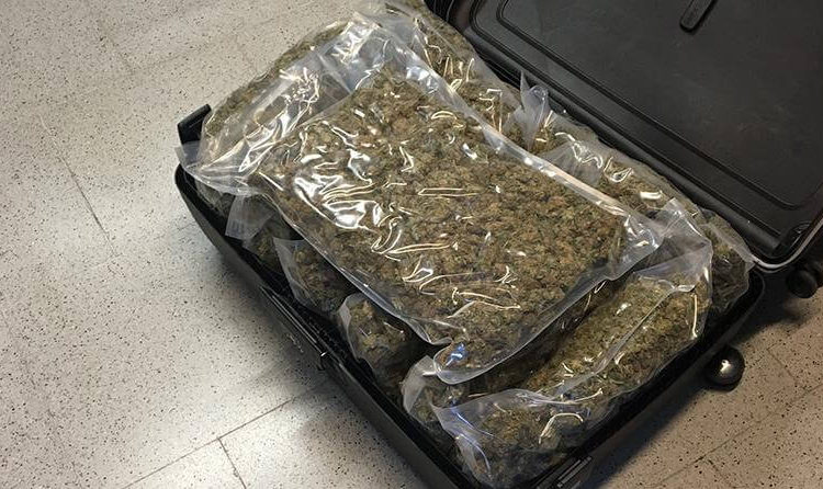 Capturan a mujer que en maleta de viaje llevaba $29 mil en marihuana