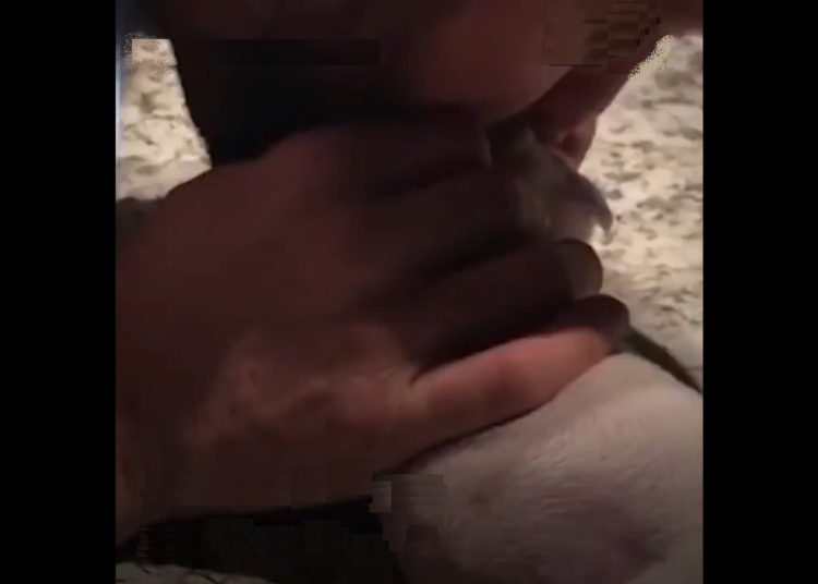 Con reanimación cardiopulmonar hombre revive a cachorrita