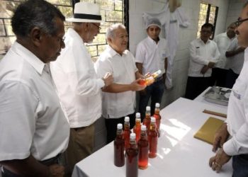 Sánchez Cerén destaca que El Salvador es el segundo mayor exportador de miel de abeja en CA