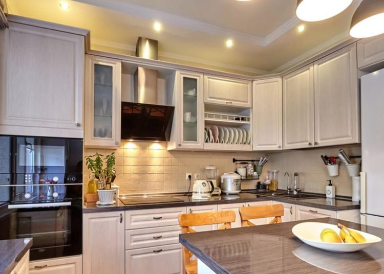 (VIDEO) Encuentra en su casa unos espantosos insectos que los científicos no identifican