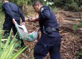 Bebé de dos años es rescatado tras pasar dos días solo en una finca de Ataco