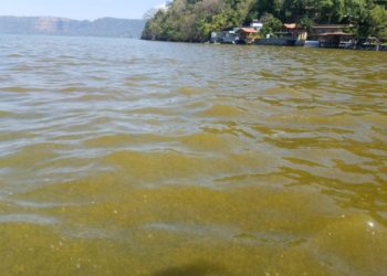 Algas cambian el color del lago de Coatepeque