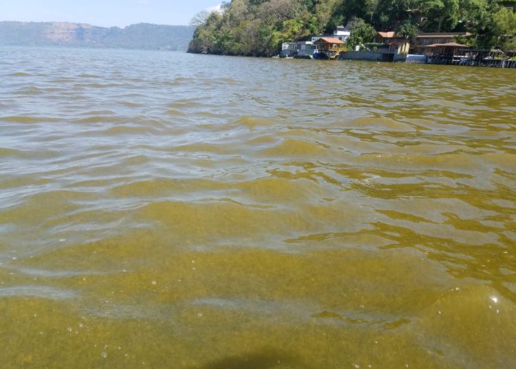 Algas cambian el color del lago de Coatepeque