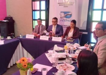 FESPAD pide transparencia en elección de comisionados al IAIP