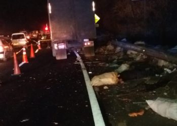 Un hombre muere arrollado por un furgón sobre la carretera de Oro