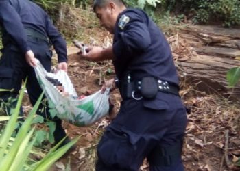 Buscan por feminicidio y abandono a padre de bebé que fue encontrado en finca de Ahuachapán