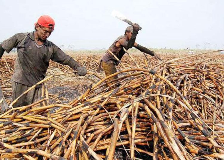 Viceministra de Comercio recomienda a sector azucarero abrir mercado con Corea del Sur