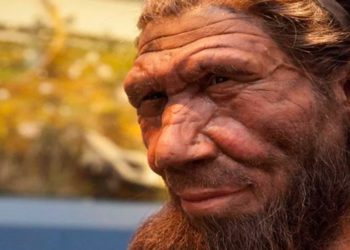 Descubren segunda huella del Neandertal