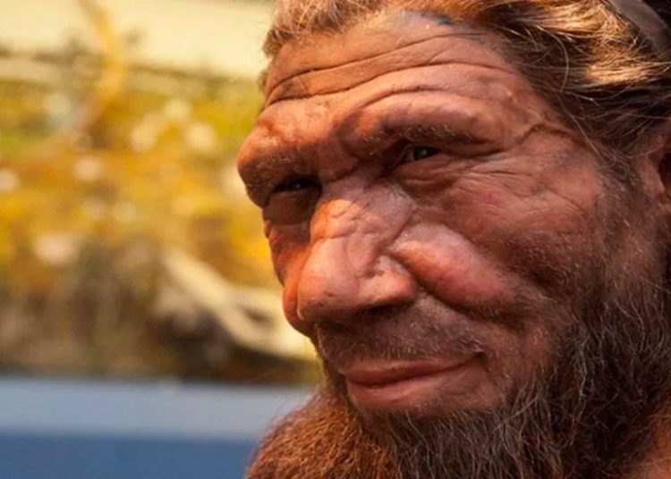 Descubren segunda huella del Neandertal