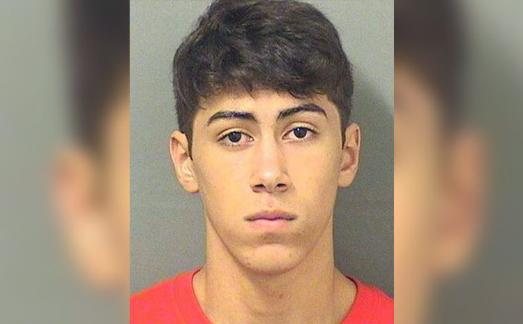 Condenan a 50 años a un joven que violó a su vecina y le ofreció ayudarle con el jardín como compensación