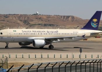 (VIDEO) Un avión regresa al aeropuerto porque una pasajera dejó olvidado a su bebé