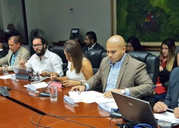 ARENA dice oponerse a la privatización del agua