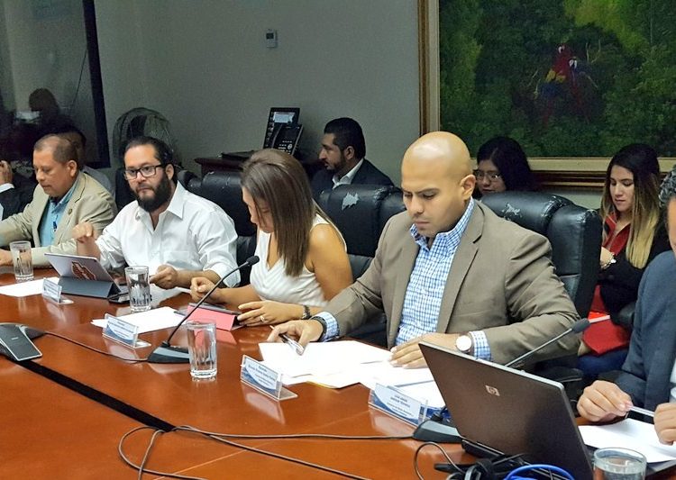 ARENA dice oponerse a la privatización del agua