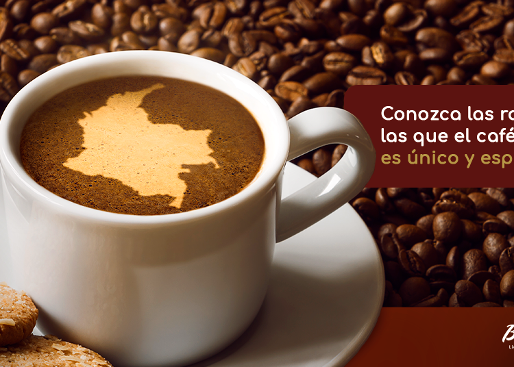 Cómo «la cuna de la heroína» pasó a producir el café más exclusivo de Colombia