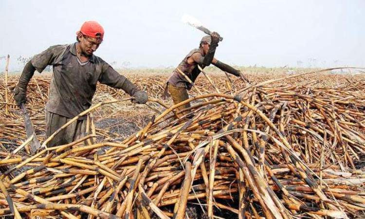 Gobierno reafirma fue correcto el proceso de suspensión de TLC con Taiwán pero acatará sentencia de la Sala