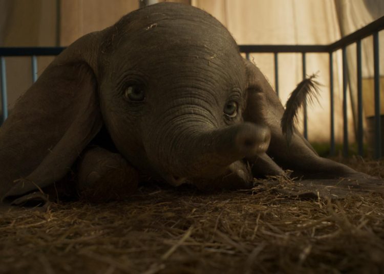 ¿La película «Dumbo» necesitó o no de elefantes en el set?