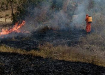 Incendios forestales consumen 656 hectáreas