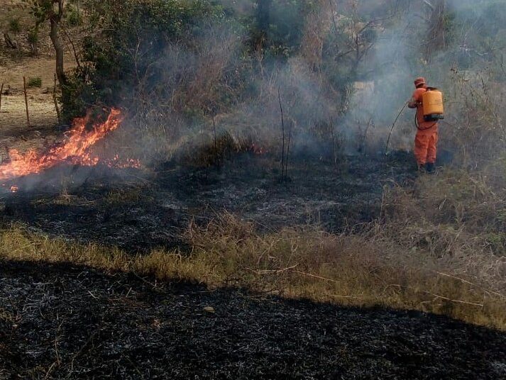 Incendios forestales consumen 656 hectáreas