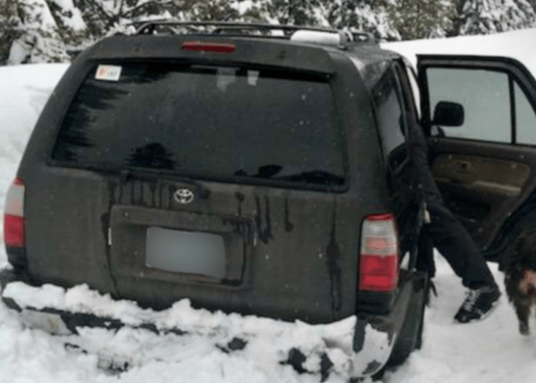 Un hombre y su perro sobreviven en la nieve comiendo salsa picante de Taco Bell