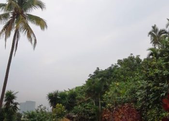 Día brumoso, caluroso y con posibilidades de lluvias