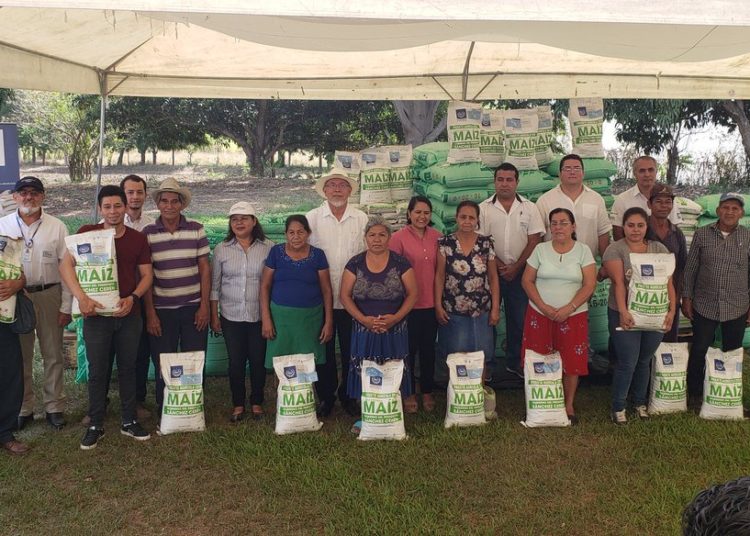 Gobierno inicia entrega de paquetes agrícolas