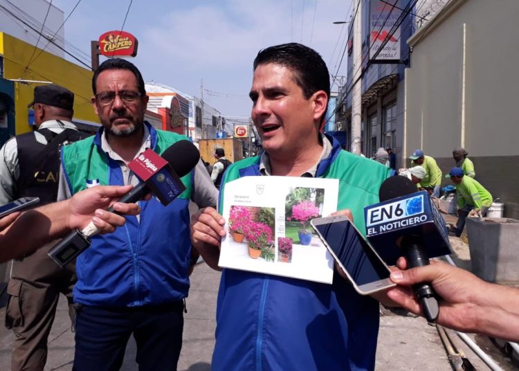 Colocan macetas para embellecer el centro de Santa Tecla