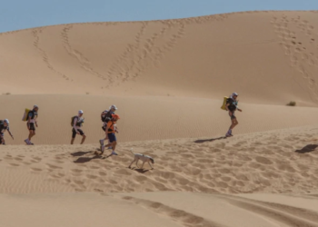 Cactus, el perro que corre ultramaratones