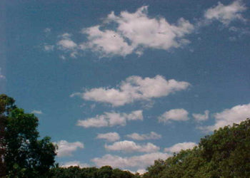 Ambiente cálido y pocas lluvias para el fin de semana