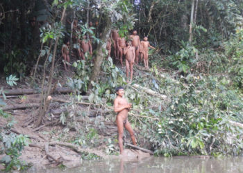 Contactan por primera vez tribu indígena del Amazonas