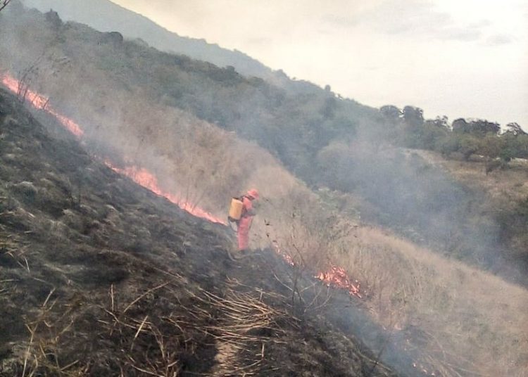 Piden emergencia nacional por incendios forestales