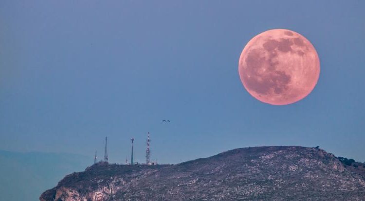 Luna Rosa se observará este viernes Santo