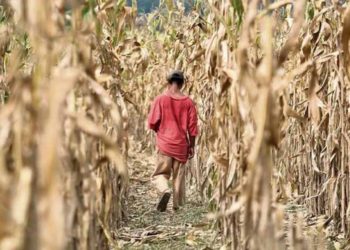Pronostican sequía para finales de junio y segunda quincena de julio en el país