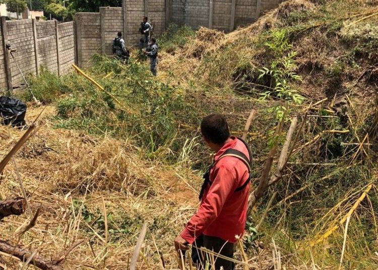 Pandilleros lesionan de bala a un agente del CAM en Panchimalco