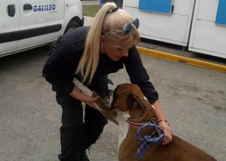 (VIDEO) La lección de una policía a una mujer por maltratar a su perro