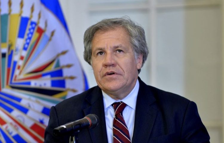 Luis Almagro felicita a Alexandra Hill por su nombramiento como nueva canciller
