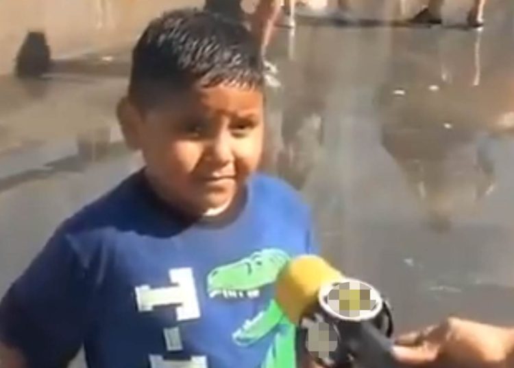 ¿Vio el video del niño que construía castillos de arena solo en «sueños»? Le contamos que alguien hizo realidad su sueño