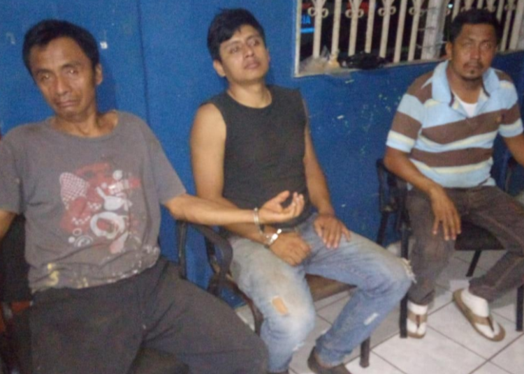 Capturan a tres sujetos que trasportaban madera de cedro de forma ilegal