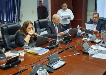 Comisión Ad-hoc no resuelve tema de amnistía