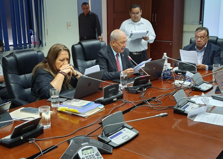 Comisión Ad-hoc no resuelve tema de amnistía