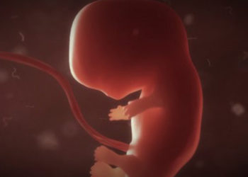 Alabama castiga el aborto sin excepciones por violación o incesto con 99 años de prisión