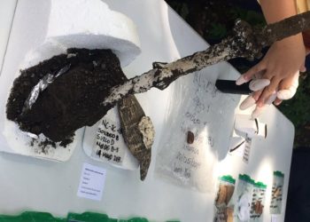 Conozca los hallazgos realizados en el parque arqueológico Joya de Cerén