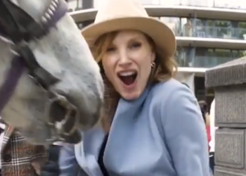 El caballo pícaro que muerde pecho de Jessica Chastain