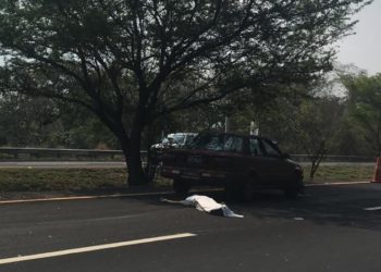 Agricultor de 92 años muere atropellado en Carretera de Oro