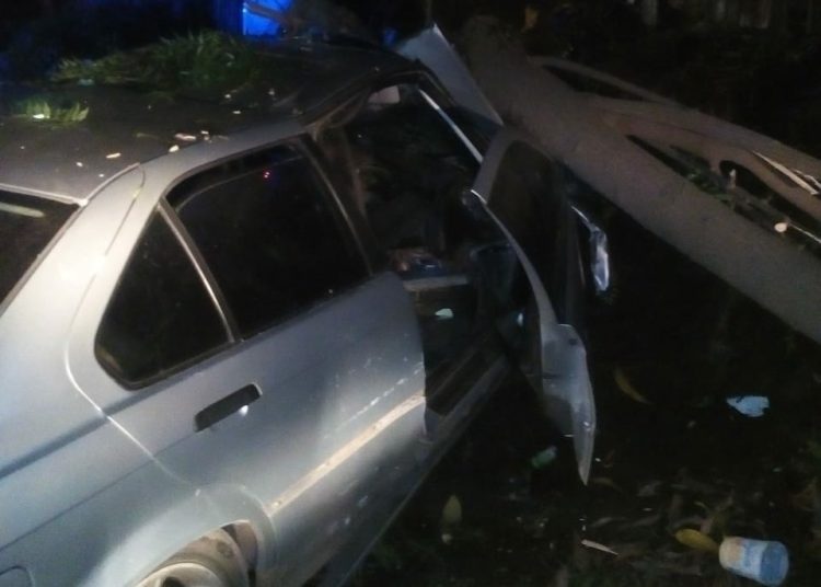 Hombre muere al estrellar su automóvil con un árbol en Usulután