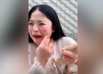 Una bloguera china fracasa cuando intenta comerse un pulpo vivo