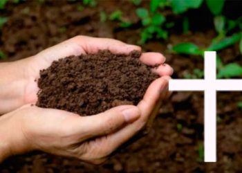 Restos humanos serán convertidos en abono orgánico en Washington