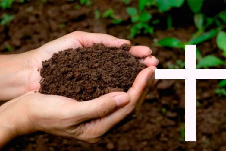 Restos humanos serán convertidos en abono orgánico en Washington